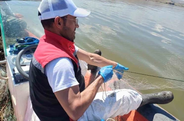Çorum’da 3 bin 100 metre hayalet ağ ele geçirildi 