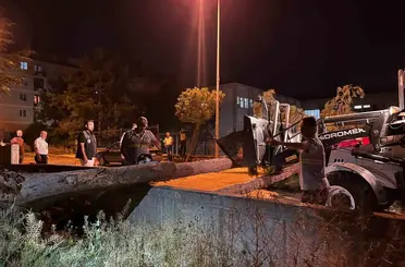 Çorum’da rüzgarın şiddetine dayanamayan ağaç yola devrildi
