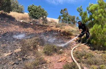 Cunda Adası’nda orman yangını 