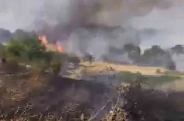 Çüngüş’te çıkan yangın üzüm bağlarına zarar verdi
