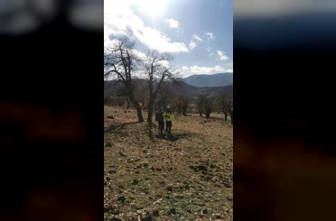 Dağlık alanda kaybolan genci jandarma buldu