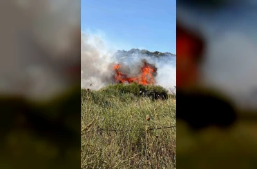 Datça’da makilik alanda yangın: "2 dönüm makilik zarar gördü" 