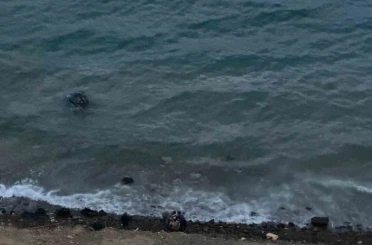 Datça’da virajı alamayan araç denize uçtu: 1 yaralı 