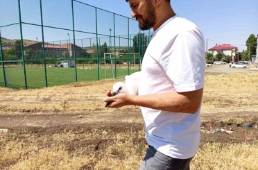 Defalarca yuvadan düşen yavru leylek doğaya bırakıldı 