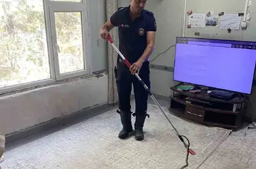 Defne’de eve giren yılanı itfaiye yakaladı

