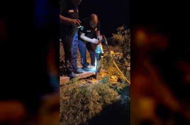 Demir borunun içinde ölümü bekleyen kirpi 1 saatlik operasyonla kurtarıldı 
