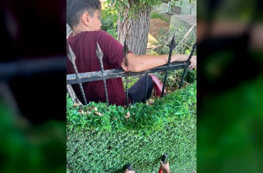 Demir korkuluk öğrencinin koluna saplandı, itfaiye kurtardı 