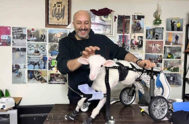Demir ustası felçli canlara ’umut’ oluyor: 9 yılda bin hayvanı ayağa kaldırdı 