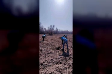 Denetimli serbestlik yükümlüleri ’Adalet Ormanı’nda meyve yetiştiriyor 