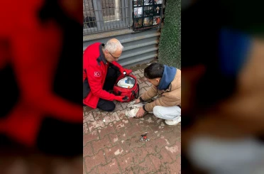 Denizde can mücadelesi: Martıyı 911 ekipleri kurtardı 