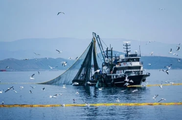 Denizlerde av yasağı 15 Nisan’da başlıyor 