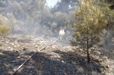 Denizli’de orman yangını hızlı müdahaleyle kontrol altına alındı 