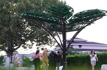 Denizli’de "Solar Ağaç" kent yaşamıyla buluştu
