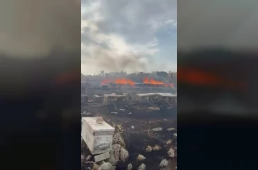 Denizli’de yangında arılar telef oldu 