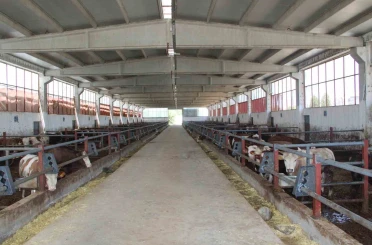 Devlet desteğiyle kurduğu besi çiftliğinde tam kapasite üretim yapıyor 