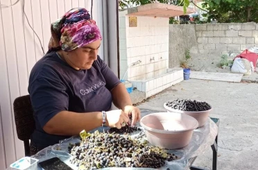 Devrek’te üretilen aronya meyve suyu büyük ilgi görüyor 