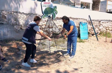 Didim Belediyesi deniz kaplumbağalarının yuvalama alanlarını koruma altına aldı 
