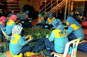 Didim Belediyesi’nin doğal ürünleri halkla buluşuyor 