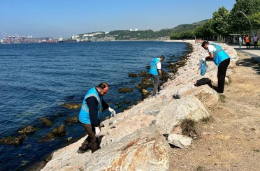 Dilovası’nda Marmara Denizi için sahil temizliği yapıldı 