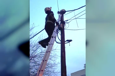 Direkte mahsur kalan kedi itfaiye tarafından indirildi 