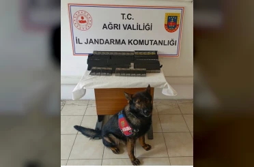Diyadin’de 180 paket kaçak sigara yakalandı 
