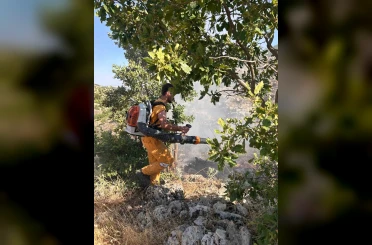 Diyarbakır’da 15 dönüme yakın ormanlık alan yandı 