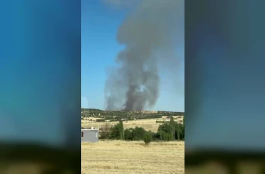 Diyarbakır’da ağaçlık alanda yangın 