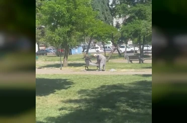 Diyarbakır’da amcalar yaşlarına aldırış etmeden parkta mekik çekti 
