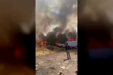 Diyarbakır’da korkutan yangın: Yüzlerce dönüm alan alevlere teslim oldu 