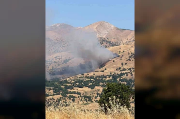 Diyarbakır’da örtü ve orman yangını 12 saatte söndürüldü 
