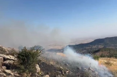 Diyarbakır’da örtü yangını 