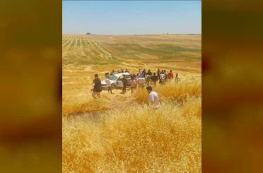 Diyarbakır’da otomobil tarlaya yuvarlandı: 5 yaralı 