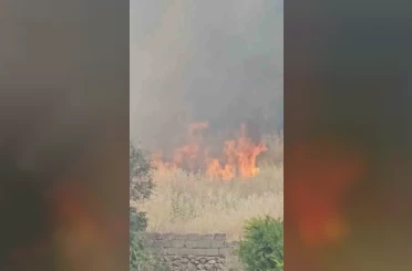 Diyarbakır’da yerleşim alanında çıkan yangın paniğe neden oldu 