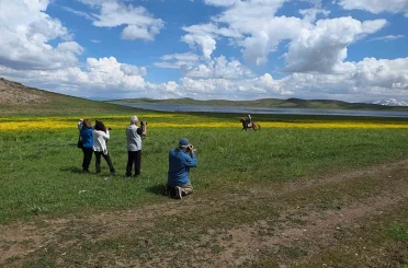 Doğa için deklanşöre bastılar: Dostlar Fotoğraf Grubu Van’ın sulak alanlarını fotoğrafladı 