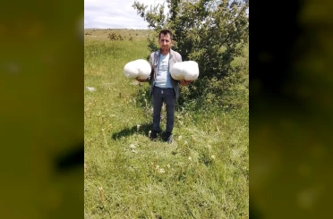 Doğada 20 kiloluk mantar buldu 