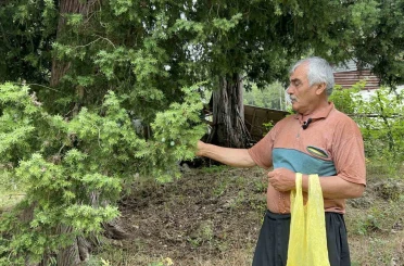 Doğadan topladığı andız çekirdeklerini koleksiyonluk tespihlere dönüştürüyor 
