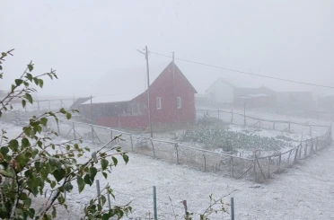 Doğu Karadeniz’in sahili ve iç kesimlerindeki şiddetli yağış yerini zirvelerde kara bıraktı 