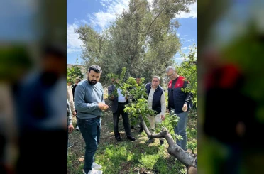 Dolu afeti sonrası hasar tespit çalışmalarına başlandı 