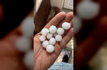 Dolu yağışı ekili alanlara zarar verdi 