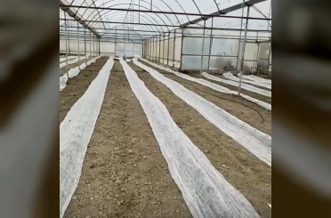 Don uyarısına karşı seracılardan tüllü önlem 