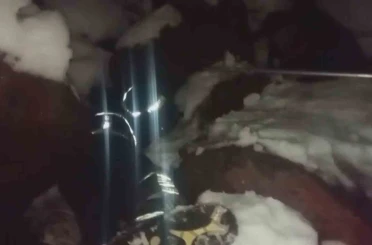 Dondurucu soğukta ölümü bekleyen yavru köpekleri itfaiye kurtardı 