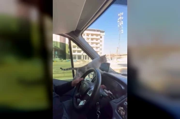 Donmak üzere olan kediyi aracına aldı: Şoförün duyarlı hareketi yolcuların takdirini topladı 