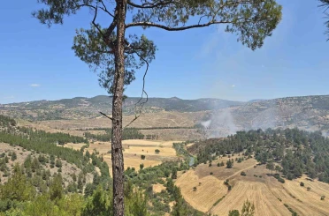 Dursunbey’de orman yangını 