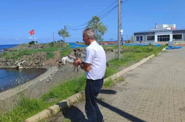 Duyarlı vatandaş martının hayatını kurtardı 