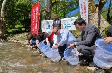 Düzce’de 7 bin 500 kırmızı benekli alabalık yavrusu sularla buluştu 