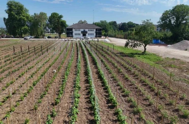 Düzce’de Ata tohumu üretimi büyüyor 