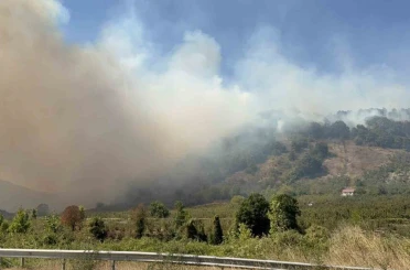 Düzce’de orman yangını 5. saatinde 
