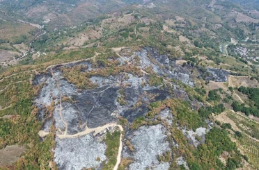 Düzce’deki yangının boyutu havadan görüntülendi 