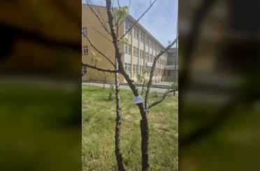 Edirne İlhami Ertem Anadolu Lisesi öğrencilerinden anlamlı etkinlik 