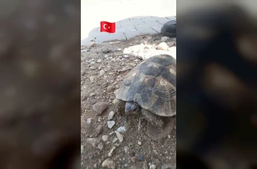 Edirne’de Çevre Haftası’nda gülümseten görüntü 